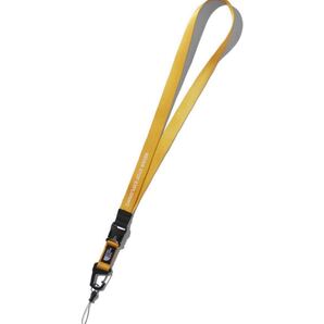新品 ノースフェイス TNF ランヤード LANYARD NN32120 SG