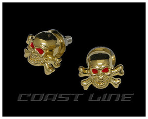 N008567 Pirates Skull type number screw set Gold 