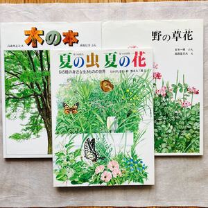 絵本　福音館のかがくのほん　木の本　野の草花　夏の虫　夏の花　計３冊 福音館の科学シリーズ