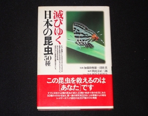 [.... japanese insect 50 kind ] morning ratio . regular two .
