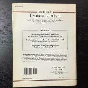 洋書■ARTBOOK_OUTLET■C4-033★バードペインティング 水鳥の描き方 HOW TO PAINT DABBLING DUCKS 絶版 貴重本 入手困難 絵付参考の画像10