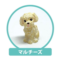 犬・ワンちゃんのボールペン（マルチーズ） REAL DOG RD-BP011 キャラクター グッズ メール便OK トーシンパック_画像1