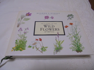  иностранная книга Wild Flowers дикий цветок Британия. ... цветок растения иллюстрированная книга сборник иллюстраций Англия. .. цветок все цвет 