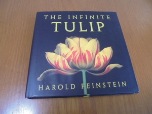 チューリップ写真集　The Infinite Tulip　美しいチューリップ写真館