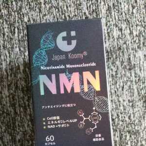 NMN 12000mg サプリメント