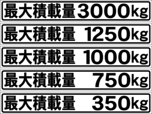 最大積載量　白　　２５センチ 　２枚組