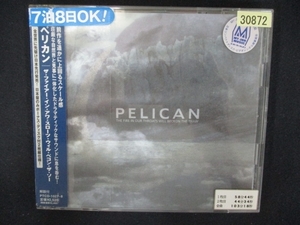 825 レンタル版CD ザ・ファイアー・イン・アワ・スローツ・ベコンズ・ザ・ソー/ペリカン 30872