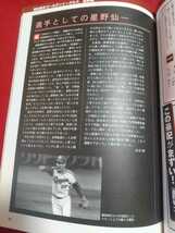 【別冊宝島】プロ野球12球団 監督の査定ファイル2011 小川淳司・落合博満・岡田彰布・秋山幸二・星野仙一・渡辺久信・真弓明信・etc._画像8