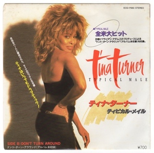 EP TINA TURNER ティナ・ターナー ティピカル・メイル ドント・ターン・アラウンド アルバム未収録 ECS-17660