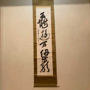 掛軸　明治時代　大徳寺管長　紫野松雲老師　亀遊　共箱　／茶掛　茶道具　利休　表千家　裏千家