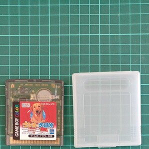 ゴン太の大冒険 ゲームボーイ ソフト GBC