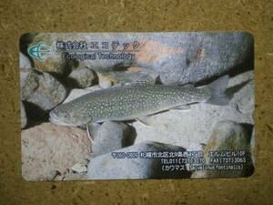 doub・魚　カワマス　エコテック　テレカ