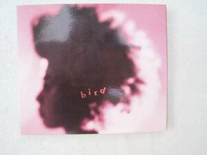 ＣＤ bird バード 大沢伸一プロデュース 中古品