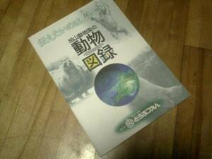 旭山動物園の動物図録　★ 旭川市 あさひやまどうぶつえん 行動展示