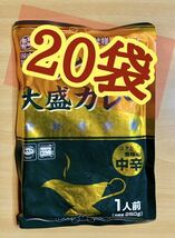 即決価格　レトルトカレー　食品　レストラン仕様おとなの大盛カレー 中辛　250g×20袋セット　まとめ買い　非常食　食料　送料無料　込み_画像1