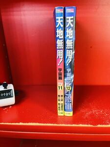 天地無用！　11.12 2冊セット魎皇鬼　天地　宇宙篇　奥田ひとし　TV キネマ