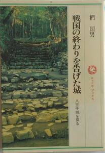 椚国男★戦国の終わりを告げた城 八王子城を探る ロッコウブックス1991年刊