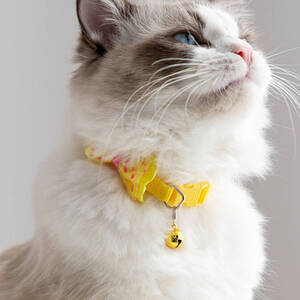 ☆SALE☆未使用品☆ベルネックレス 猫用・犬用/イエロー☆ペット用品/ペットアクセサリー/蝶結び/首輪