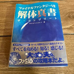Art hand Auction Kaitai Shinsho 전략 가이드 Final Fantasy 7 Final Fantasy VII Complete The Con, 그림, 오일 페인팅, 자연, 풍경화
