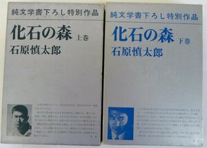 * Ishihara Shintaro окаменелость. лес сверху * внизу шт 2 шт. комплект USED товар *