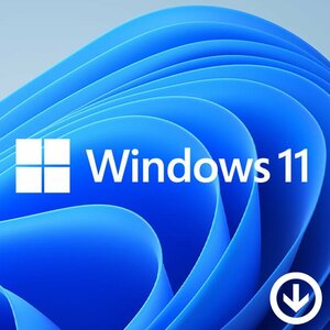 ウィンドウズ 11 Windows 11 home プロダクトキーのみ [Microsoft] 1PC/ダウンロード版 | 永続ライセンス・日本語版 代引き不可※