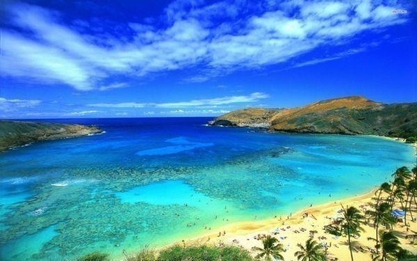 هاواي أواهو هاناوما باي بيتش ريزورت البحر اللوحة نمط خلفية ملصق نسخة واسعة 603x376 مللي متر (نوع الملصق القابل للنزع) 024W2, المطبوعات, ملصق, آحرون