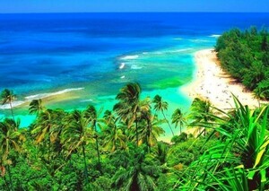 ハワイ マウイ島 ビーチ ヤシの木 砂浜 海 絵画風 壁紙ポスター A1版 830×585mm（はがせるシール式）013A1