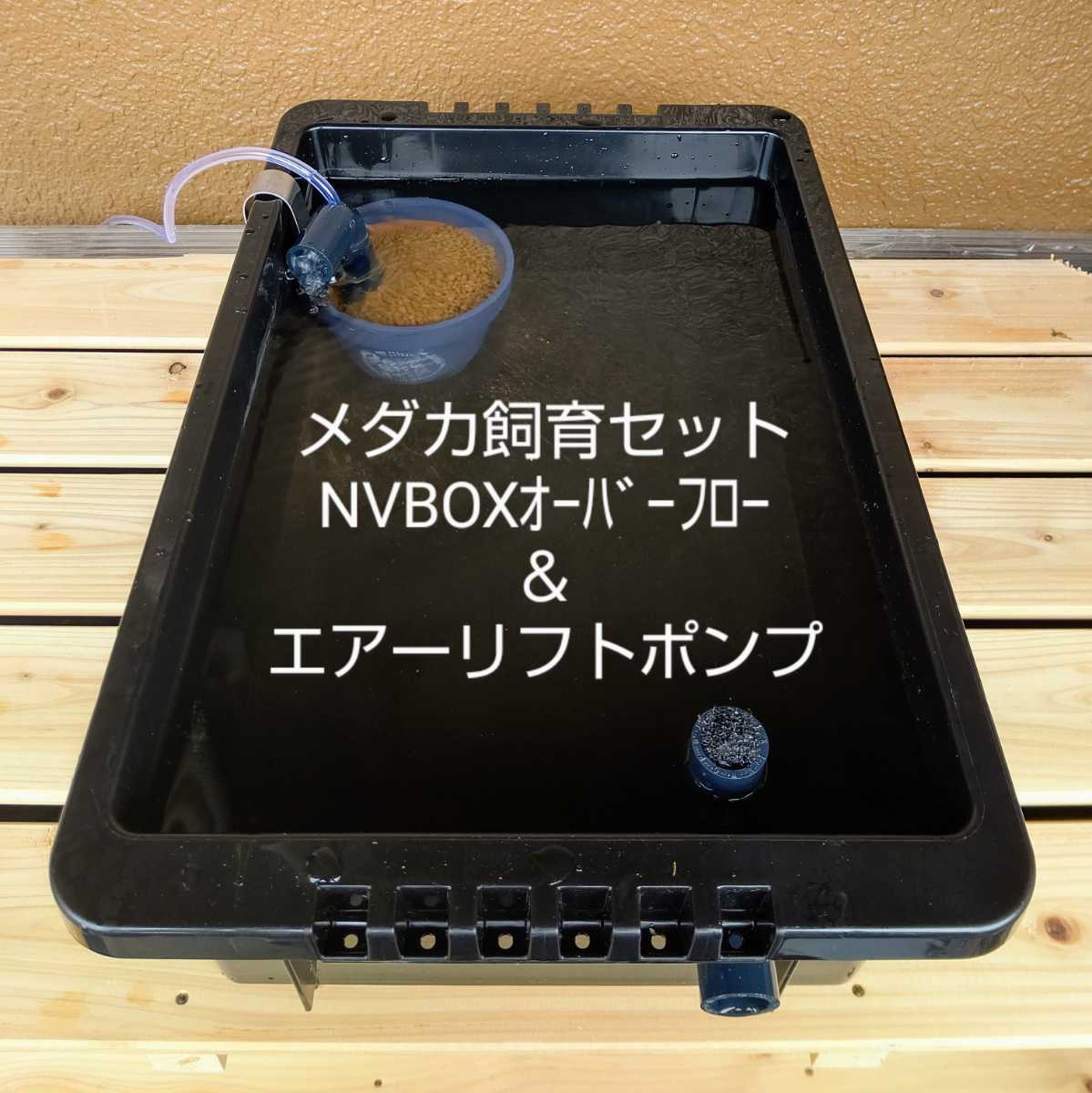 水槽フルセット 限定品豪華セット➃ - grupolifecare.com.br 水槽フルセット 限定品豪華セット➃ - grupolifecare.com.br