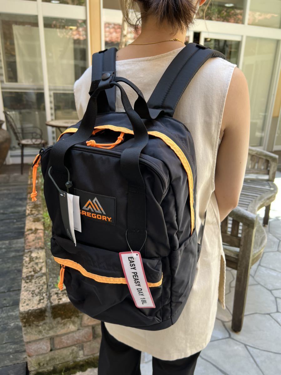 新品未使用品 グレゴリー バックパック リュックサック イージーデイ