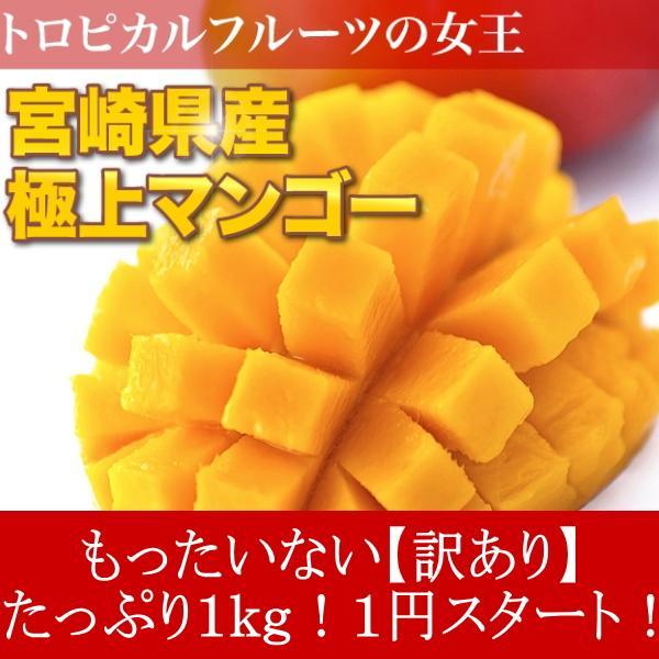 宮崎県産完熟マンゴーLサイズ6玉1.9kg以上 果物 | endageism.com