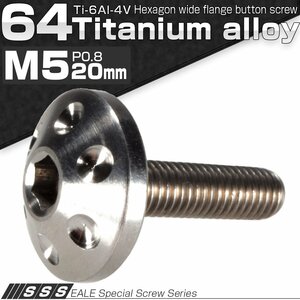 チタンボルトM5×20mm P=0.80 頭部径16mm ホールヘッド ボタンボルト 六角穴付き JA181