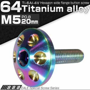 64チタン合金(TC4/GR5) M5×20mm P=0.80 頭部径18mm ホールヘッド ボタンボルト 六角穴付き レインボー(焼チタン風) JA166