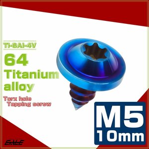 64チタン M5×10mm タッピングネジ トルクス穴 フランジ付き ビス 焼きチタン JA1244