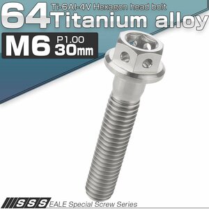 64チタン M6×30mm P1.00 デザイン六角ボルト 六角穴付きボルト フランジ付き シルバー Ti6Al-4V JA731