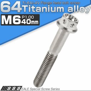 64チタンボルト M6×40mm P1.00 ホールヘッド 六角ボルト フランジ付き六角ボルト チタン原色 Ti6Al-4V JA793