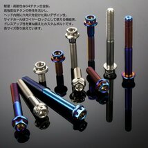 64チタン M6×60mm P1.00 デザイン六角ボルト 六角穴付きボルト フランジ付き シルバー Ti6Al-4V JA743_画像3