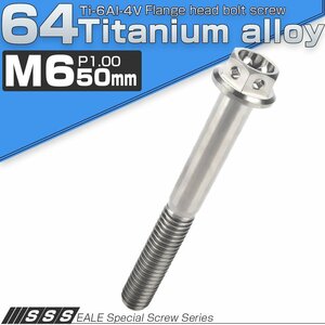 64チタンボルト M6×50mm P1.00 ホールヘッド 六角ボルト フランジ付き六角ボルト チタン原色 Ti6Al-4V JA799