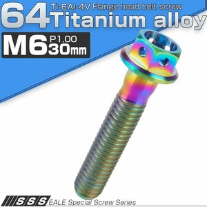 64チタンボルト M6×30mm P1.00 ホールヘッド 六角ボルト フランジ付き六角ボルト レインボー 焼きチタン風 Ti6Al-4V JA788