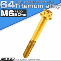 64チタンボルト M6×50mm P1.00 ホールヘッド 六角ボルト フランジ付き六角ボルト ゴールド Ti6Al-4V JA801_画像1