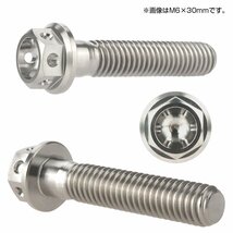 64チタンボルト M6×45mm P1.00 ホールヘッド 六角ボルト フランジ付き六角ボルト チタン原色 Ti6Al-4V JA796_画像2