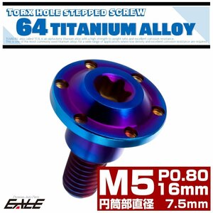 M5×16mm P0.8 jpy tube part diameter 7.5mm 64 titanium step attaching flange bolt torx hole hole head roasting titanium JA877