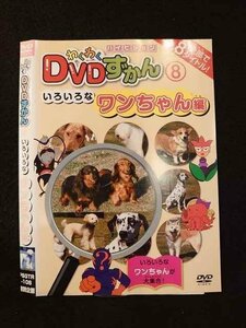 ○012767 レンタルUP：DVD わくわくDVDずかん8 いろいろなワンちゃん編 108 ※ケース無