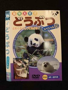 ○012767 レンタルUP：DVD 動物大好き どうぶつ スペシャル50 101 ※ケース無