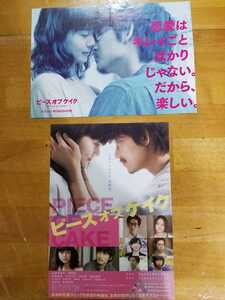 ★綾野剛・多部未華子 映画フライヤー 2枚セット 送料140円～★