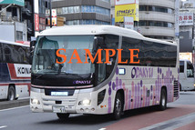 D-21【バス写真】L版３枚　小田急バス　セレガ　高速車_画像2