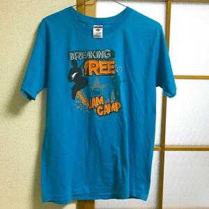 古着　Tシャツ　ジャージーズ　JERZEES ヴィンテージ　レトロ　青色　水色　プリント　BREAKING FREE　Sサイズ　海外ブランド