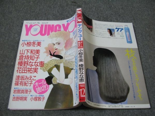 摩天楼のバーディー コミック 全6巻完結セット Young You漫画文庫 品 Massa Mx