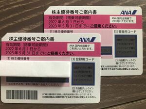 【送料無料】ANA 全日空 株主優待券 ２枚セット　2023.5.31迄有効