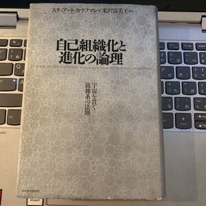 自己組織化と進化の論理 : 宇宙を貫く複雑系の法則