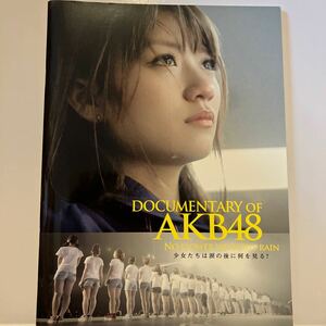 【 AKB48】DOCUMENTARY OF AKB48 パンフレット 写真集全体